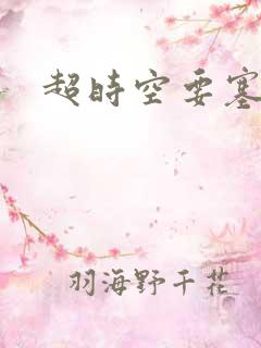 超时空要塞小说