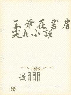 王爷在书房含乳尖h小说