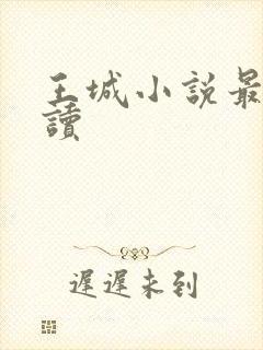 王城小说最近阅读