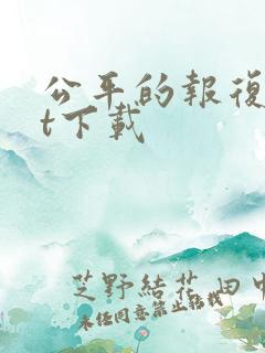 公平的报复txt下载