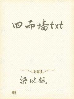 四面墙txt