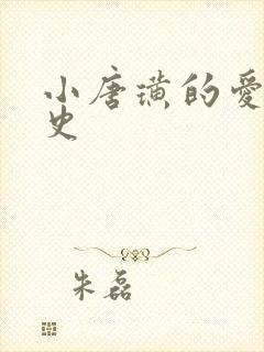 小唐璜的爱情历史