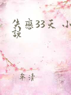 失恋33天 小说