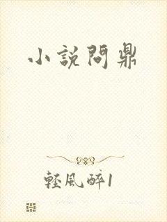 小说问鼎