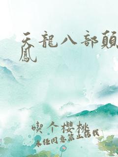 天龙八部颠龙鸾凤