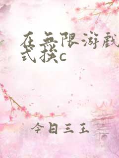 在无限游戏里花式挨c
