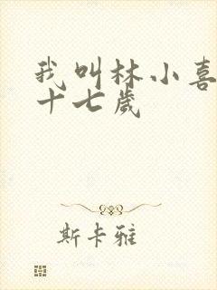 我叫林小喜今年十七岁