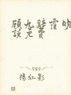 顾九辞霍明澈小说免费