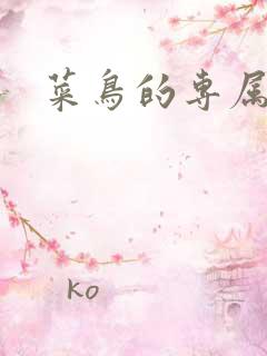 菜鸟的专属大神