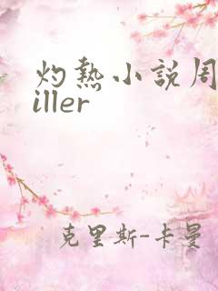 灼热小说周防killer