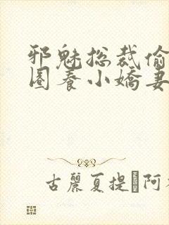 邪魅总裁偷心计圈养小娇妻