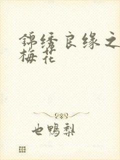 锦绣良缘之驿寄梅花