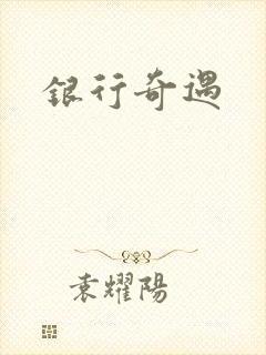 银行奇遇