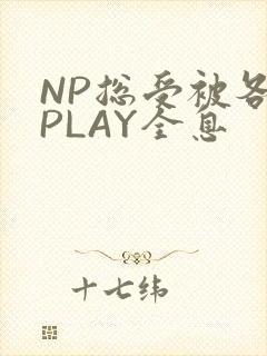 NP总受被各种PLAY全息