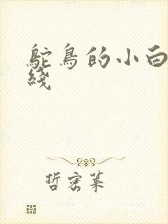 鸵鸟的小白脸路线