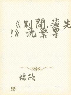 《别闹,薄先生!》沈繁星