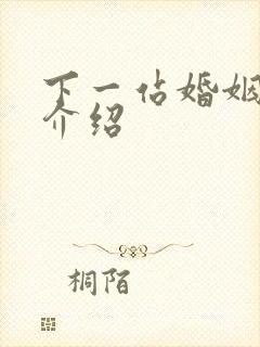 下一站婚姻剧情介绍