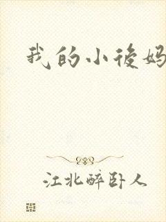 我的小后妈小说