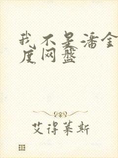 我不是潘金莲百度网盘