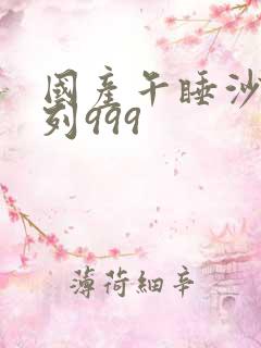 国产午睡沙发系列999