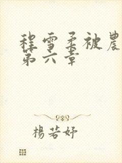 程雪柔被农民工第六章