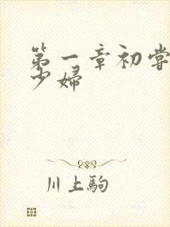 第一章初尝极品少妇