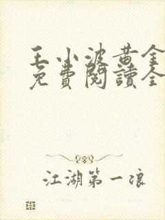 王小波黄金时代免费阅读全文