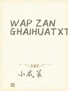 WAP ZANGHAIHUATXT