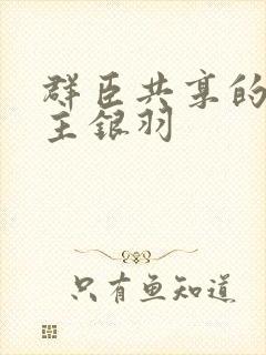 群臣共享的小公主银羽