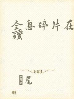 全息碎片在线阅读