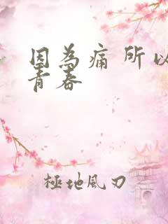 因为痛 所以叫青春