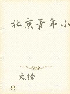 北京青年小说