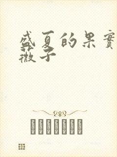 盛夏的果实 小薇子