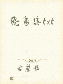 飞鸟集txt
