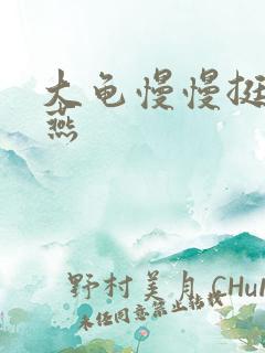 大龟慢慢挺进张燕