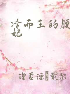 冷面王的腹黑王妃