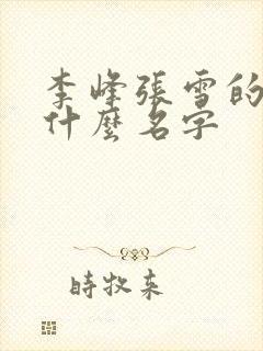 李峰张雪的书叫什么名字