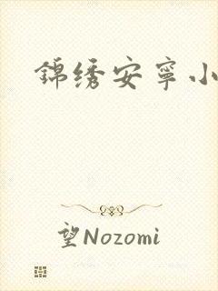 锦绣安宁小说