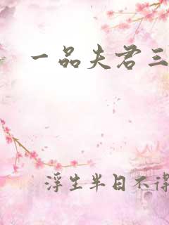 一品夫君三流妻