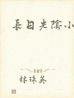 长日光阴小说