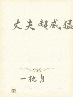 丈夫超威猛