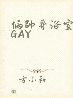 俩帅哥浴室互攻GAY