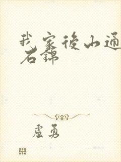 我家后山通仙界石锦