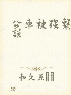 公车被强系列小说