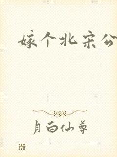 嫁个北宋公务员