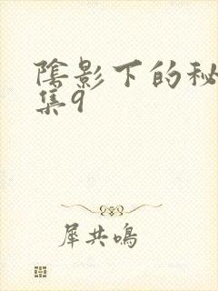 阴影下的秘密全集9