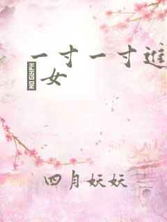 一寸一寸进入小姪女