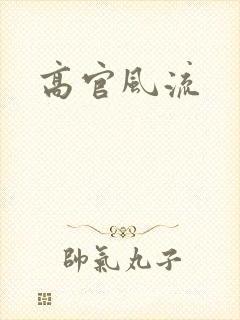 高官风流