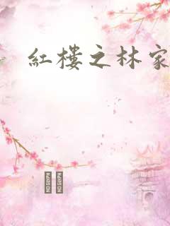 红楼之林家有妻