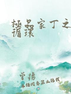 极品家丁之因果循环